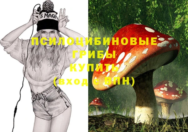 гидропоника Новодвинск