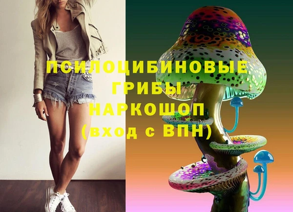 бошки Новозыбков