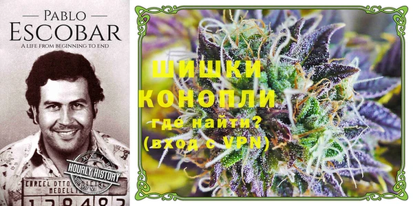 бошки Новозыбков