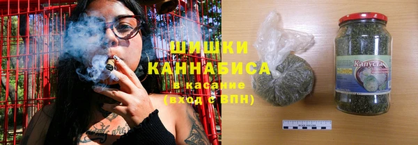бошки Новозыбков