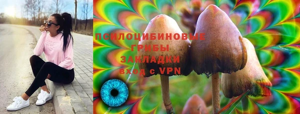 бошки Новозыбков