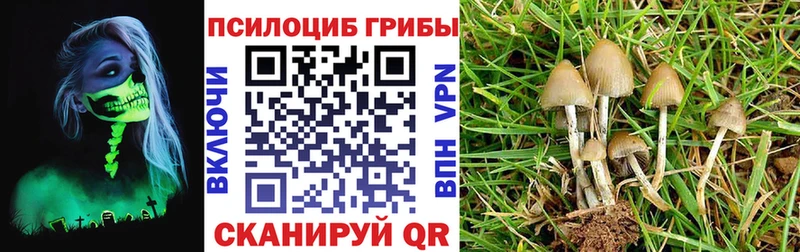 Галлюциногенные грибы Psilocybe даркнет сайт Шиханы